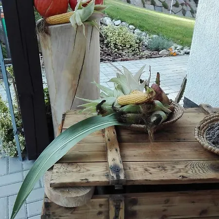 Chalupa Kaminek Sumava Lejlighed Podmokly (Klatovy)